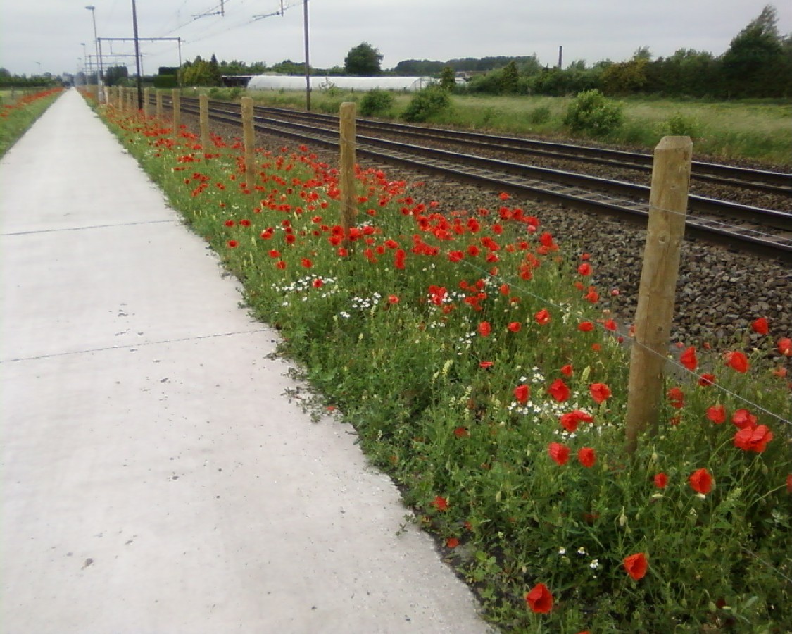 Fietssnelweg