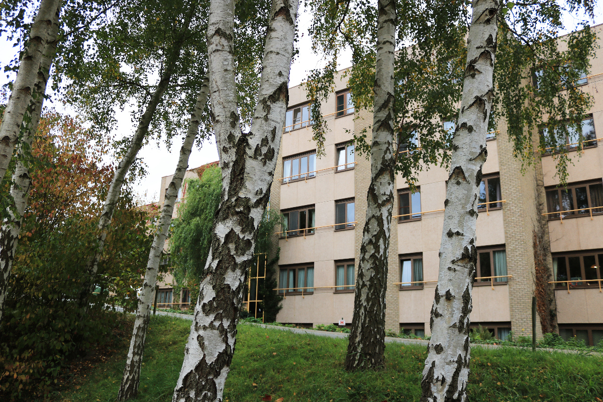 Assistentiewoningen Scheldezicht